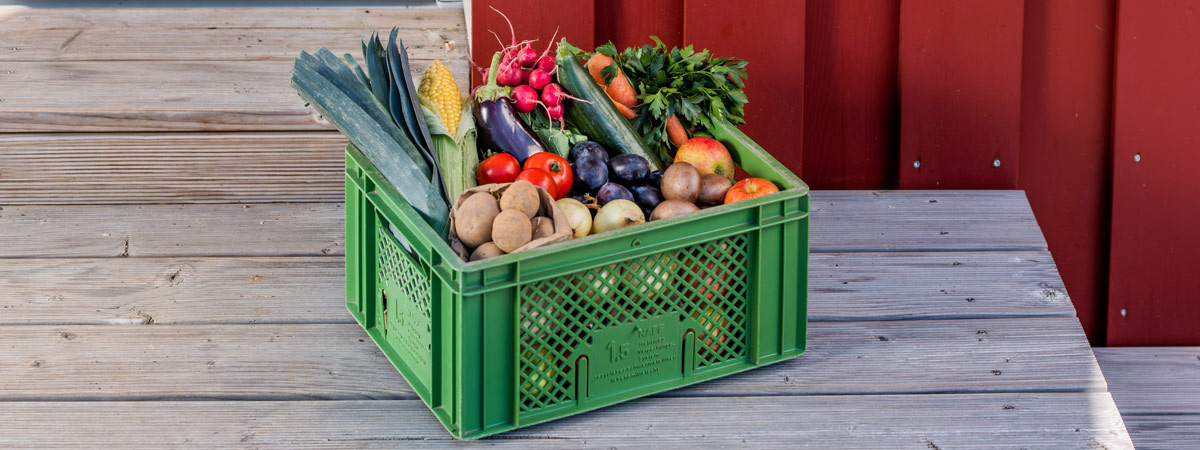 Grüne Bio-Kiste gefüllt mit frischem Obst und Gemüse steht vor Haustür.