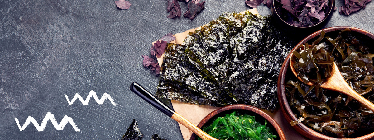Nori Algen verschiedene Varianten