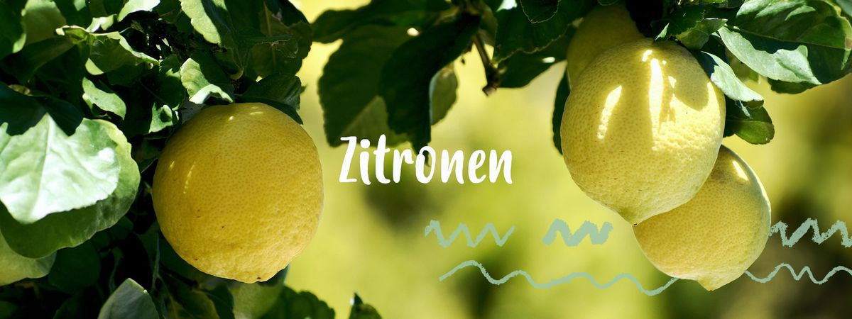 Zitronen