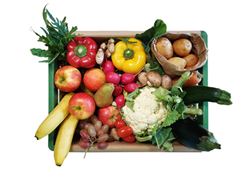 Produktfoto zu Allseits beliebt midi