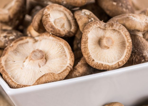 geerntete Shiitake Pilze