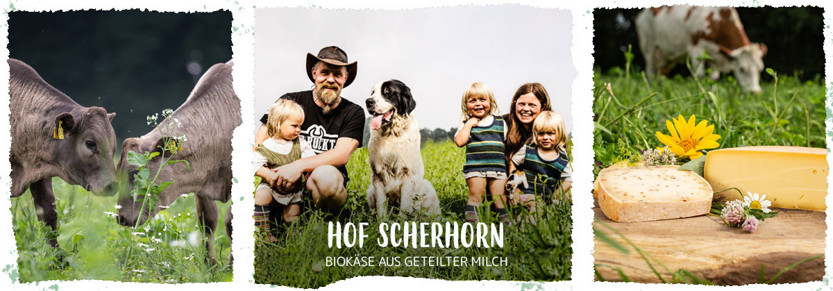 Hof Scherhorn Biokäse aus geteilter Milch