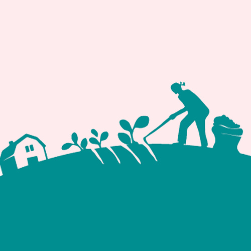 Terrasana Illu kachel_Feld Anbau