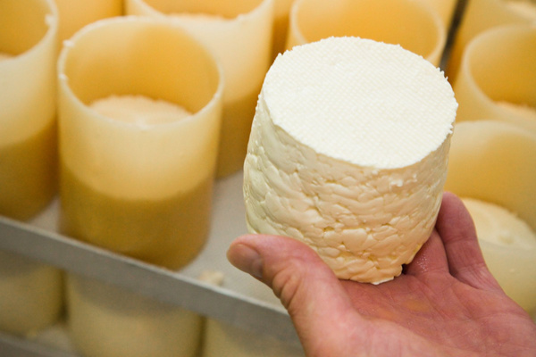 Grummersort Käse Herstellung