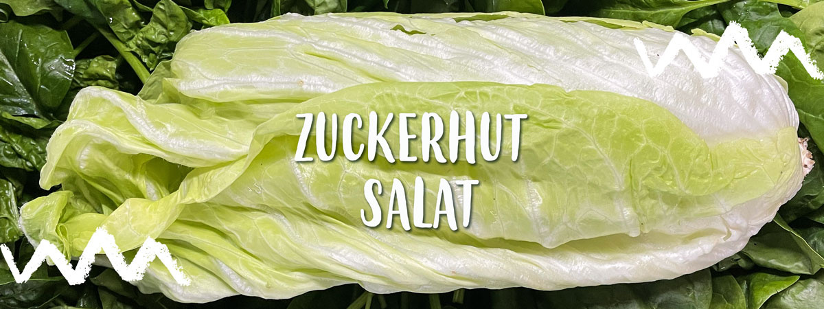 Zuckerhut Salat