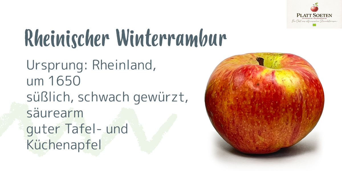 Ein Apfel mit Text: "Rheinischer Winterrambur, Ursprung: Rheinland, um 1650, süßlich, schwach gewürzt, säurearm."
