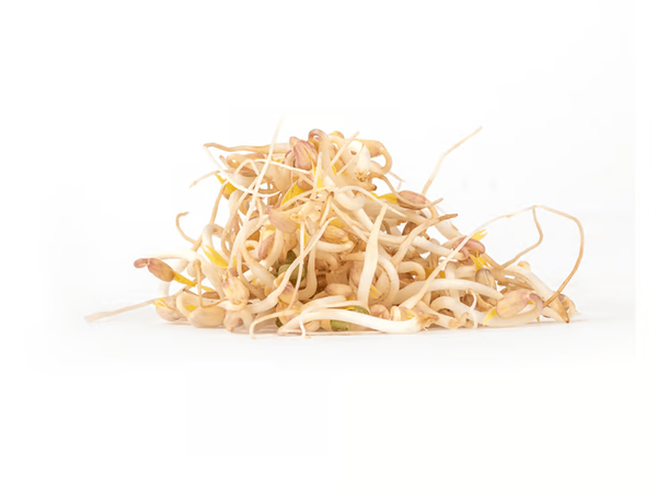 Produktfoto zu Mungbohnensprossen - 150g