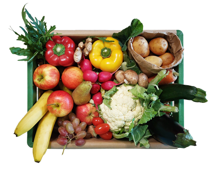 Allseits-Beliebt-Kiste Mix aus Biobost und Biogemüse, regional first