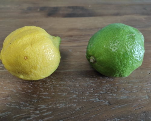 Zirtronen gelb und grün