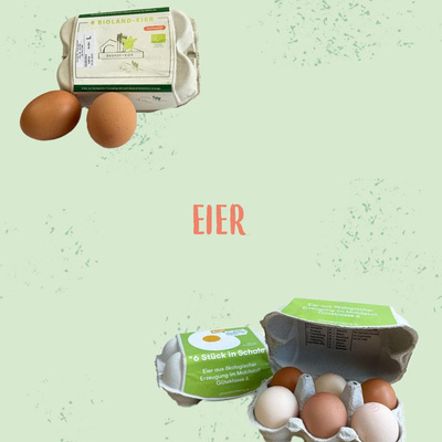 Produktfoto zu Zu den Eiern