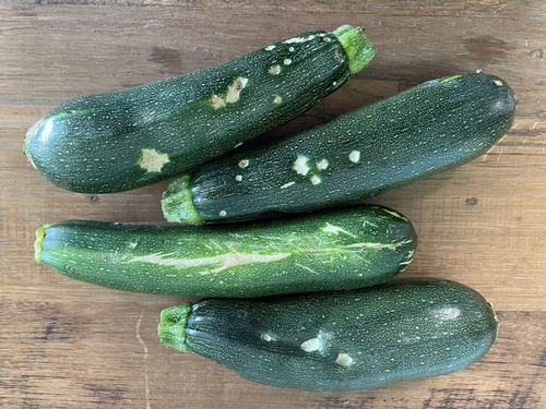 Zucchini Schalenfehler