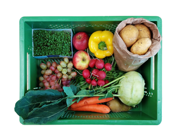 Senioren Kiste Mix aus Biobost und Biogemüse, Biokäse, Biojoghurt, Biobrot