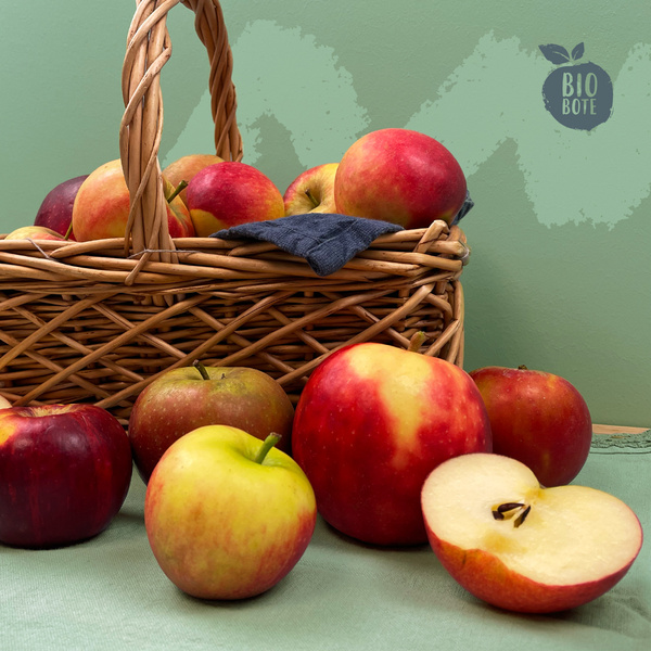 Kühlkammern Augustin