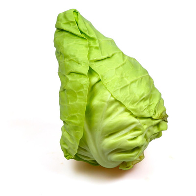 Produktfoto zu Spitzkohl, fällt kleiner aus, ca. 500g