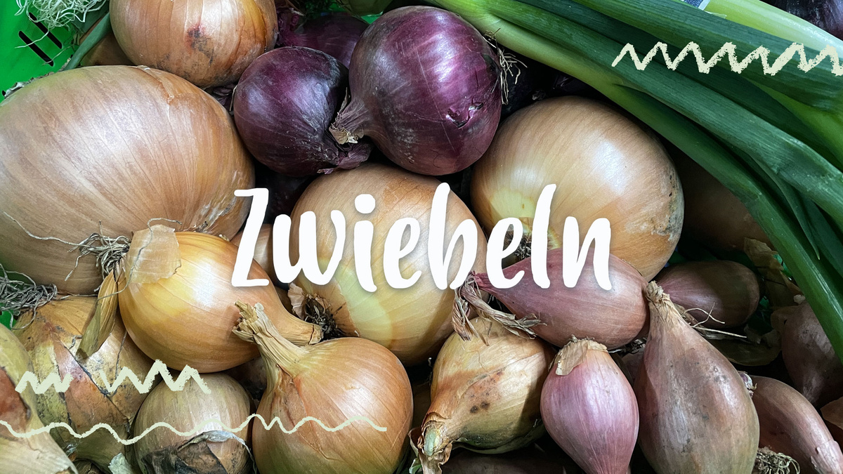Verschiedene Zwiebeln in Nahaufnahme. Text: "Zwiebeln".
