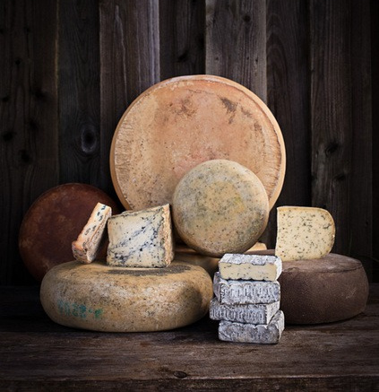 Käseauswahl Hof Dannwisch