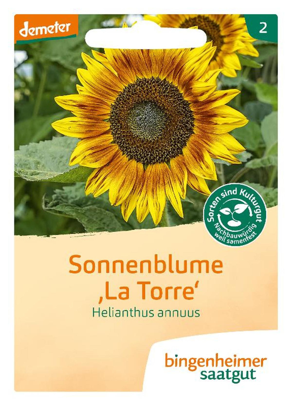 Produktfoto zu Bingenheimer Saatgut - Sonnenblumen
