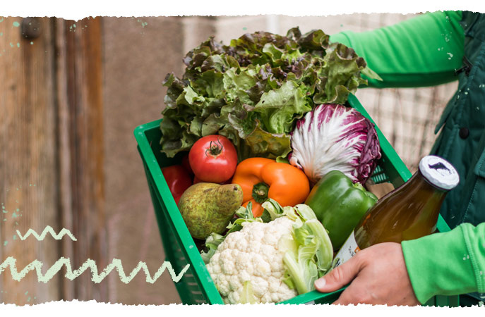 Deine Biokiste im Sommer