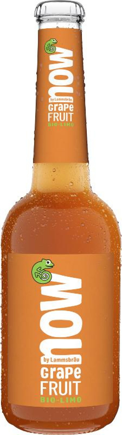 Produktfoto zu now Grapefruit - 10x 0,33l