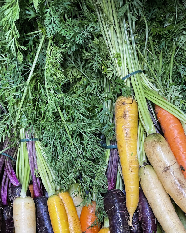 Möhrengruen bunte Möhren