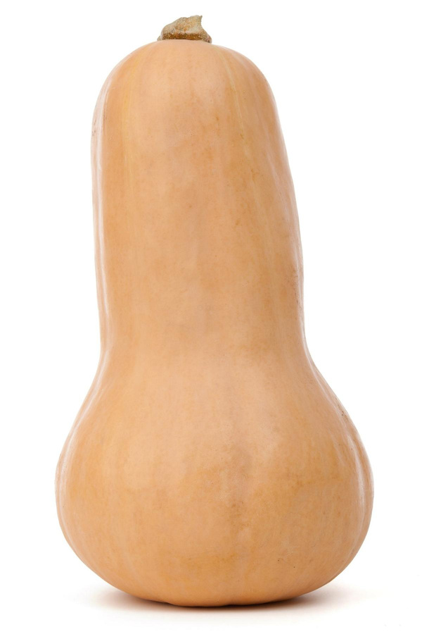 Produktfoto zu Butternut-Kürbis, groß, ca. 1,4- 1,8kg
