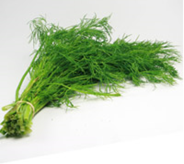 Produktfoto zu Dill im Bund