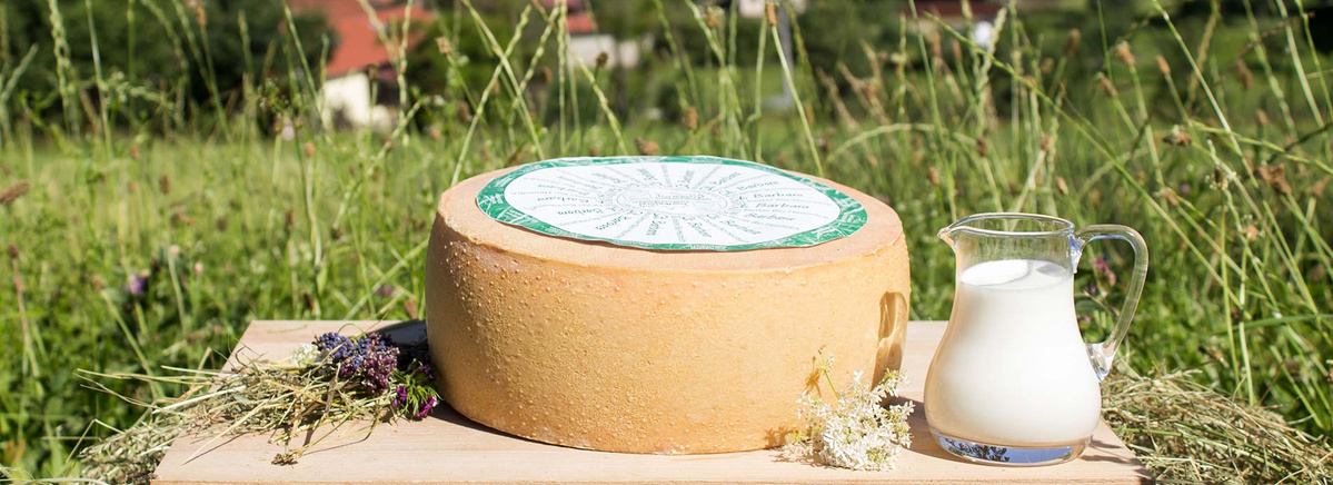 KI generiert: Ein großer Käselaib und eine Milchkanne auf einem Tisch im Freien mit Wiesenbündeln.