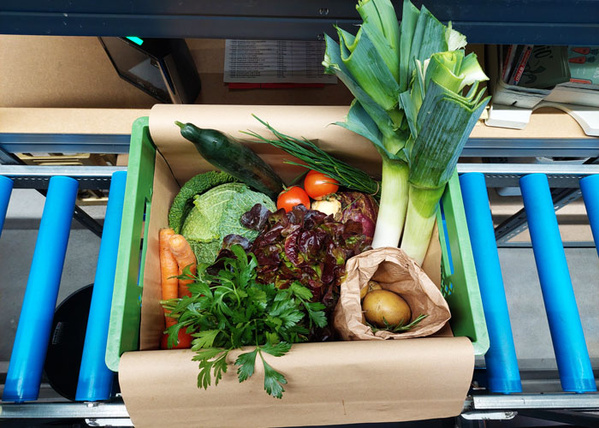 KI generiert: Kiste mit frischem Gemüse: Lauch, Salat, Karotten, Gurke, Tomaten, Petersilie und Kartoffeln.