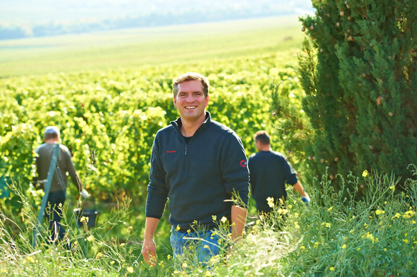 Philipp Wittmann - Weingut Wittmann