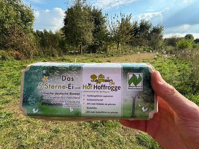Produktfoto zu Sozialer Ökohof - Eier - 10er Karton