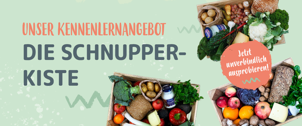 KI generiert: Kisten mit Obst und Gemüse, Text: "Unser Kennenlernangebot: Die Schnupperkiste. Jetzt unverbindlich ausprobieren!"