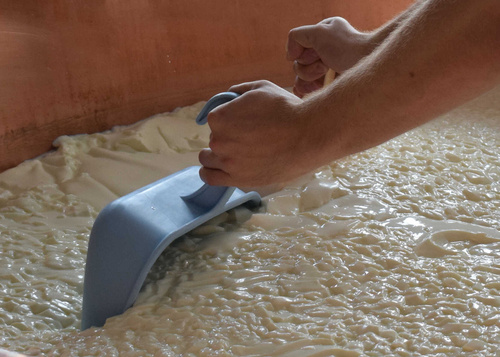 Lüttje Plaats Schafkäse