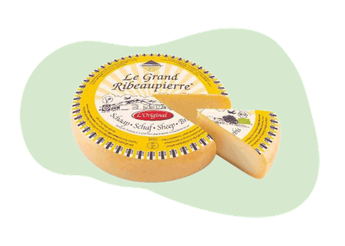 Bastiaansen Bio Ribeaupierre Schaf