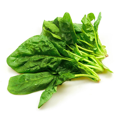 Produktfoto zu junger Spinat aus der Region